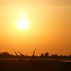 Дарья Абдель-Рахим, 14.12.1983, Москва