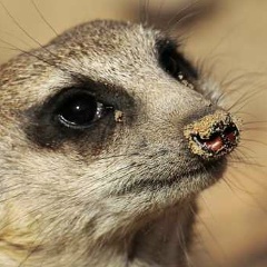 Елена Исаева, 21.02.1977, Санкт-Петербург