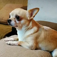 Татьяна Цадкина, 21.04.1981, Санкт-Петербург