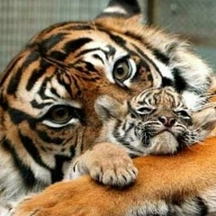 Элеонора , Уфа