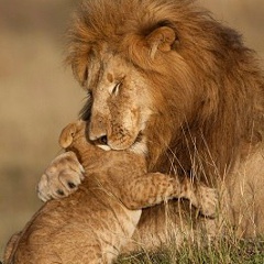 Юлька Иванкив, 01.02, Одесса