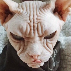 Серго Метов, 24.09, Санкт-Петербург