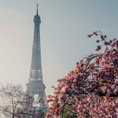 Артур Степанян, 19.10, Москва