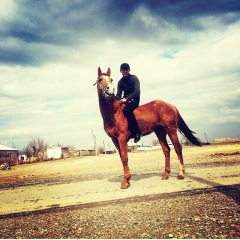 Mukagali Alpisbaev, 07.07.1991, Тараз
