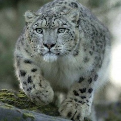 Андрей Борисов, 05.04.1985, Калининград