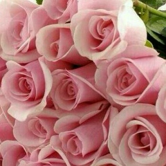 Динора Мажидова