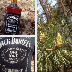 Иван Иванчук, 06.02.1984, Харьков