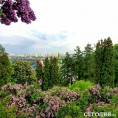 Инна Шпак, 17.07, Киев