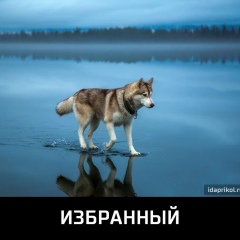 Равшан Абдуллаев, 19.12.1981