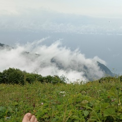 Анна Каменецкая, Тюмень