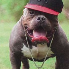 Сергей Леонов, 29.07.1992, Los Angeles