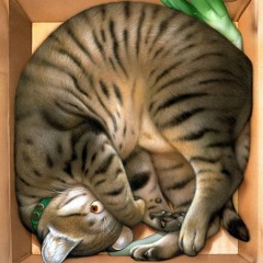 Ольга Брадул, 24.04.1990, Горловка