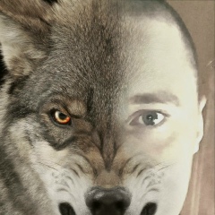 Дима Грынь, 11.06, Ромны