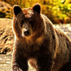 Роман Тальский, 30.11.1990, Ставрополь