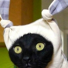 Ольга Куимова, 02.08, Москва