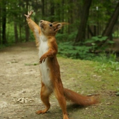 Александр Табашевский, 24.12.1979, Калуга