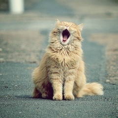 Вадим Курносов, 07.05, Астрахань