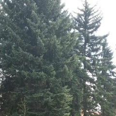 Гулдана Алпысбаева, 07.10.1980, Алматы