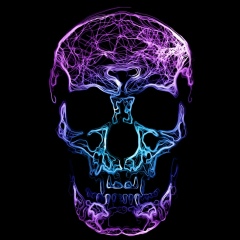 Евгений Баум, Москва