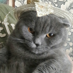 Андрюха Брилiянт, 18.05, Львов