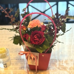 Alina Solntceva, Санкт-Петербург