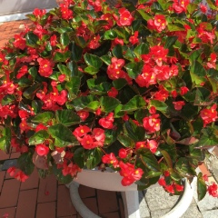 Наргиза Элмурадова, 02.11, Самарканд