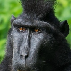 Евпатий Эдуардович, 20.06.1986, Африка