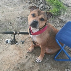 Никита Шипин, Тюмень