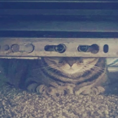 Егор Родионов, Дно