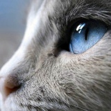 Аселя Кахарова, 07.08.1930, Алматы