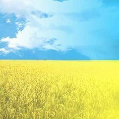 Роман Гій, 07.08