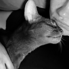 Lena Tsareva, Москва