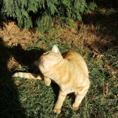 Mariam Chanturia, 22.07.1989, Поти