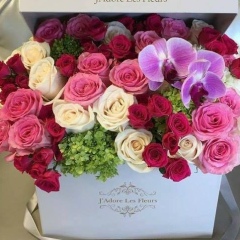 Нина Андрян, 25.07.1979, София