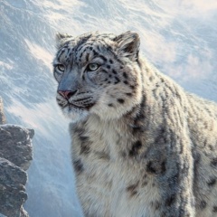 Евгений Мельников, 22.08.1987