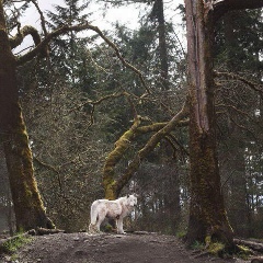 Zelim Sugaipov, 19.08