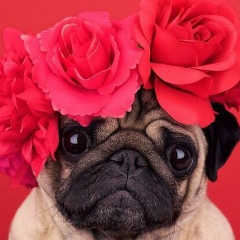 Аня Томяк, 30.07, Киев