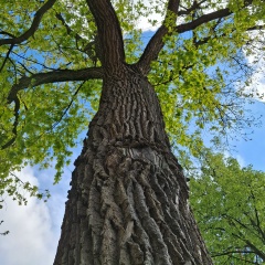 Дим Валитов, Уфа