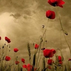 Елена Манилова, 17.01.1987, Москва