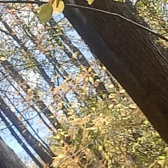 Руслан Мухамедянов, Альметьевск