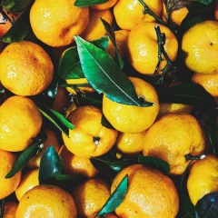 Мария Арбатова, 05.12, Чебоксары