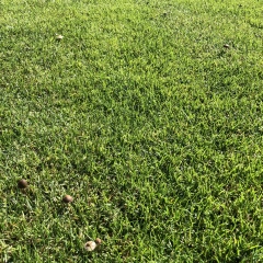 Антон Жуков, 28.04.1982, Санкт-Петербург