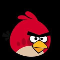 Галина Норина, 12.05, Кириши