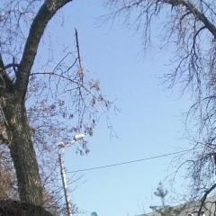 Igor Ketov, 27.07.1993, Аркалык