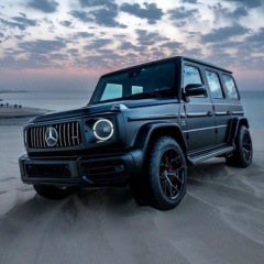 Ярополк Борзых, 07.02.1999