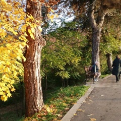 Елена Борисова, 09.09, Челябинск