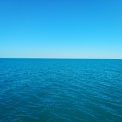 Арам Оганезов, 30.10.1984, Санкт-Петербург