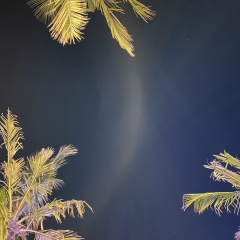 Виктория Силеенкова, 22.07, Москва