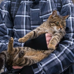 Алексей Ретюнин, 19.06.1988, Днепр (Днепропетровск)