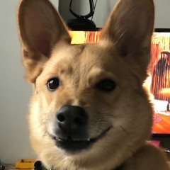 Дмитрий Фишер, 12.11, Санкт-Петербург